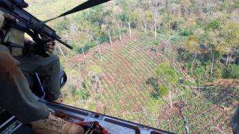 Con helicópteros de la Policía Federal del Brasil la SENAD y la FTC inició operativo antinarcótico